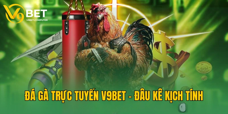 V9BET - Truy Cập Website V9 Bet | V9bet Đăng Nhập Nhận 999K 34 Đá gà trực tiếp V9BET - Kịch tính trong từng trận đấu trực tiếp
